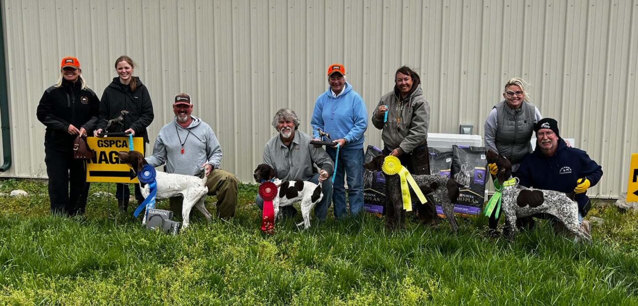 2023 National Amateur Gun Dog Championship GSPCA German Shorthaired