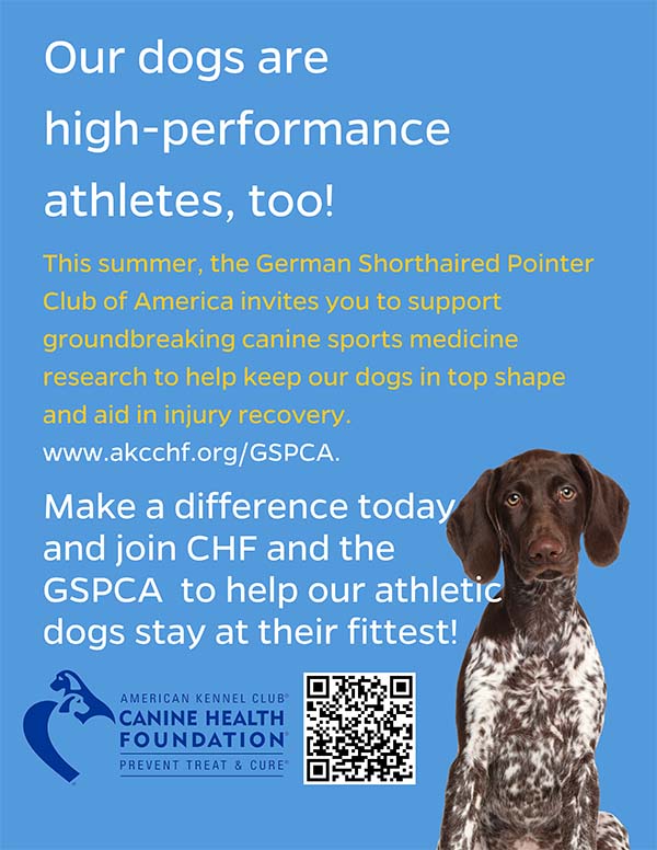AKC Join the Canine Health Foundation