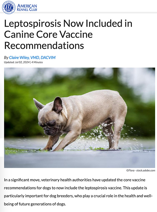 Leptospirosis Now Included in Canine Core Vaccine Recommendations