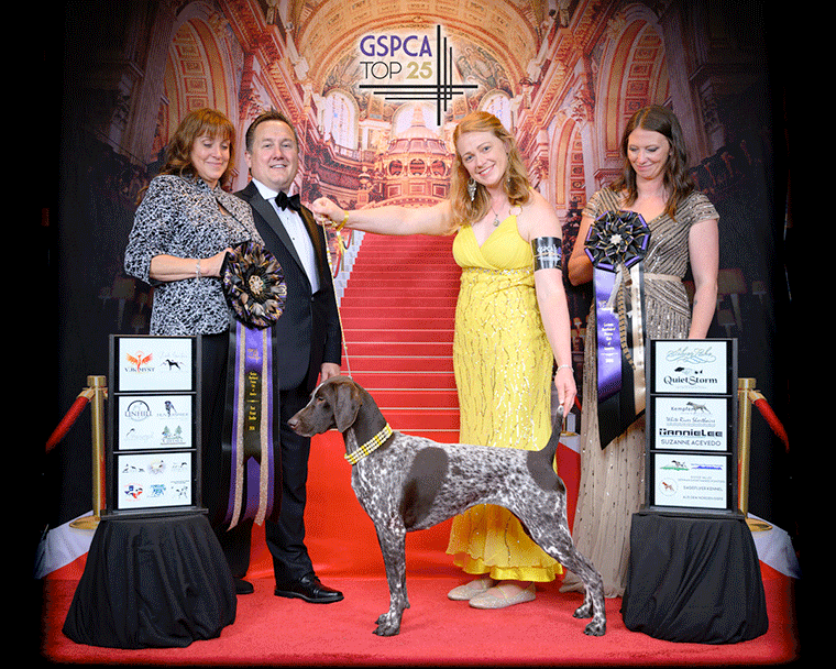 Best Owner Handler 2024 GSPCA Top 25 Competition “Belle” BISS MBISOH GCHS CH Chrishelle’s Beauty IS the Beast RE