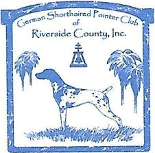 GSP Club of Riverside County - GSP standing, with a periwinkle color and frame