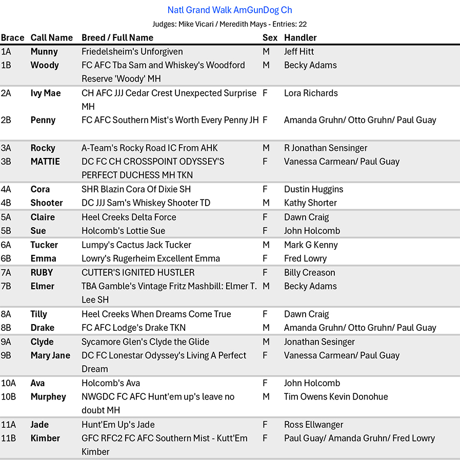 2025 NAGDC Placements and Awards of Merit