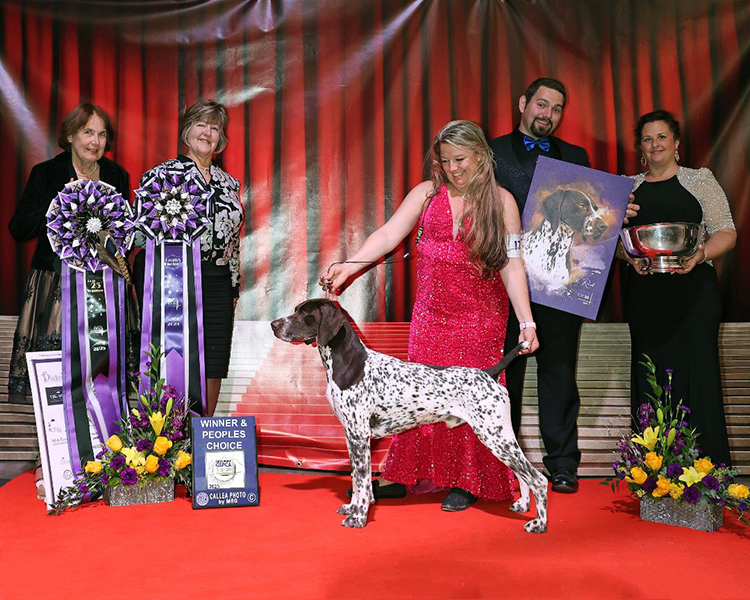 Winner of the 2025 Top 25 & People's Choice GCHG CH STELOR’S ROCK SOLID CGCA CGCU TKI