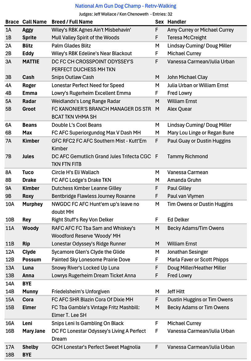 2025 NAGDC Placements and Awards of Merit