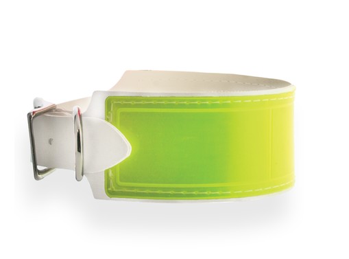 FieldKing Field Trial Reflective Dog Collars