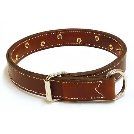FieldKing No Hunt Dog Training Collar